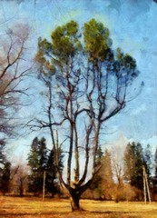 Fototapeta premium Oil painting nature landscape contemporary stock wall art print for canvas or paper, or stationery. Hand drawing by brush original nature artwork. Village scene in spring or summer. Modern poster. 