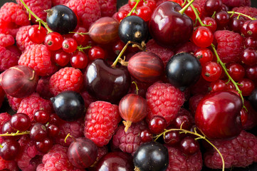 Ripe raspberries, blackcurrants, cherries, red currants and gooseberries. Mix berries and fruits....