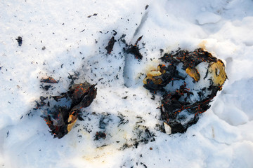 fire and ashes on the snow