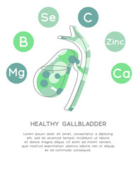 Minerals and vitamins for healthy gallbladder. Illustration of vitamins B, C, Ca, Zinc, Mg, Se in a rounded scheme. Abstract vector banner with the place for your text. 