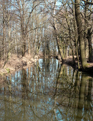 small river with trees, beautiful shadows, Zlata stezka, Czech republic