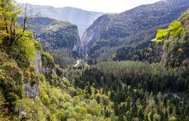 Mountain gorge in the mountains of Abkhazia near lake Ritsa