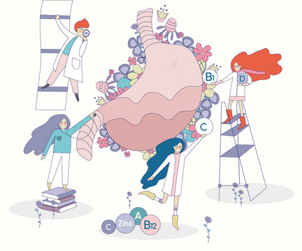Healthy stomack vector with flowers on the background. Four doctors and nurses looking for the right vitamins for stomack functioning. Illustration of elements and minerals in pastel colors