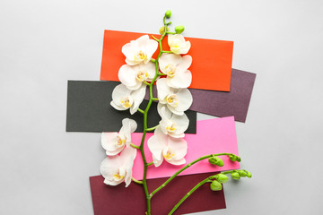 Composition with beautiful orchid flowers on light background
