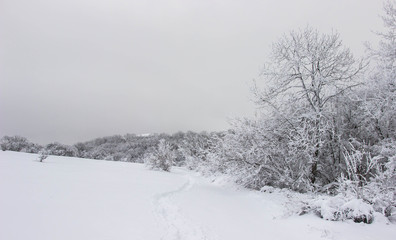 Snowy winter in the mountains