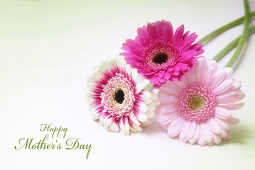 three gerbera flowers in pink and white on a bright background with copy space, greeting card with text Happy Mother's Day