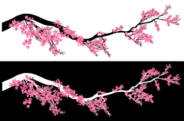 plum tree blossom vector design - chinese springtime meihua flowers on a long horizontal branch