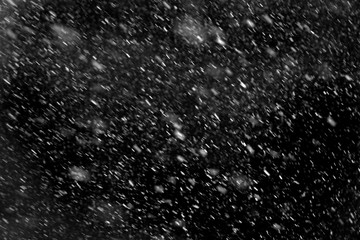 Falling real snowflakes, heavy snow - 250266985