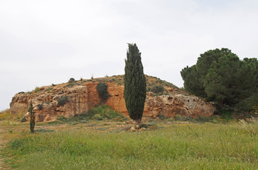 excavated rock mound with carved face surrounded by grass and trees in the tomb of the lings area in paphos cyprus