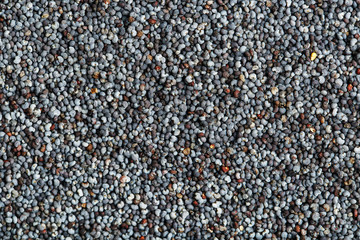 Macro of dried poppy seeds as a background.