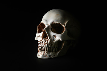 Human skull on black background