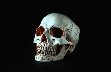 Human skull on black background