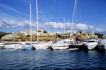 Obraz premium jachthafen in palma de mallorca