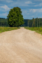 Landscape with empty rural road.