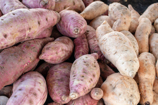 Batata-doce