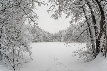 Frozen lake surrounded by snow-covered forest