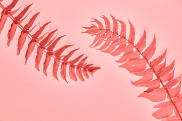 Living Coral colored fern pastel background. Trendy tropical leaf close-up. Art Concept. Creative Style. Sweet coral Mood. 16-1546