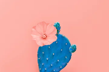 Tuinposter Mode Cactus met bloem op Trendy Living Coral pastel achtergrond, minimale creatieve stijl. Leuke zomer Zoete koraalstemming. Close-up tropische cactus plant. 16-1546 © evgenij918