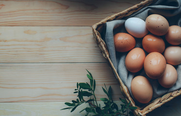 easter composition Easter eggs lie in an egg box next to green branches on a wooden light background easter concept photo from above