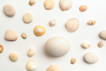 Sea shell objects for seaside and beach themed design