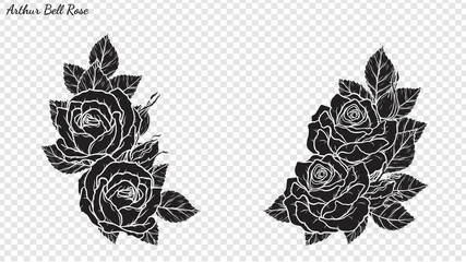 Rose ornament vector by hand drawing.Beautiful flower on transparent background.Arthur Bell rose vector art highly detailed in line art style.Flower tattoo for paint or pattern. - obrazy, fototapety, plakaty