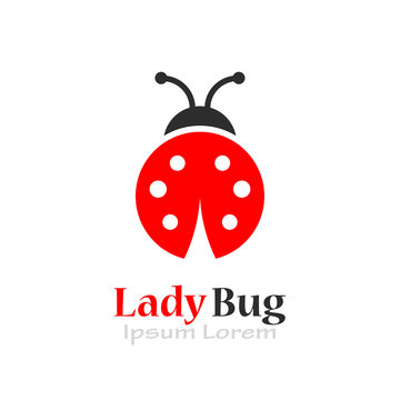 Lady bug vector logo