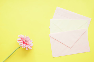 Envelopes and beautiful flower on color background