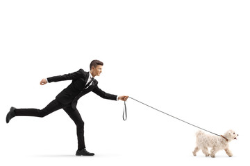 Full length shot of a young man in a suit walking a dog