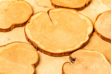 cut tree on white background. wooden tray