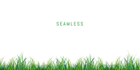 Fototapeta premium Seamless fresh green grass on white background