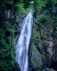 Fototapeta na wymiar Abe Otaki, Shizuoka Prefecture - 静岡県・安倍の大滝