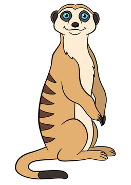 recommend clip art: Cartoon animals. Little cute meerkat smiles.
