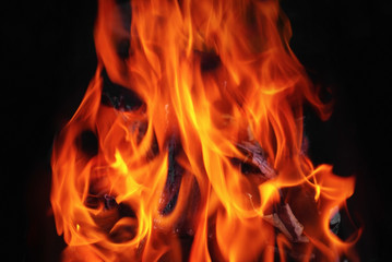 Bright flame of fire burns in the camping bonfire. Shallow depth of field. Selective focus.