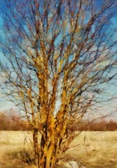 Oil painting pretty landscape scene in stock. Original large size wall art print in modern style drawing on canvas. Contemporary acrylic artwork. Nature motifs. Spring or summer season. 