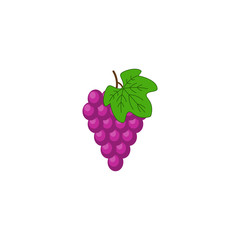 Fresh bunch of grapes purple icon on white background. vector illustration in flat style