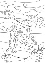 Coloring pages. Three little cute meerkats smile.