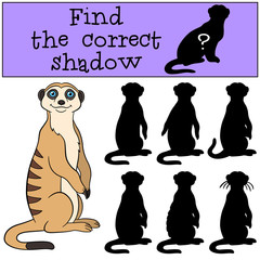 Educational game: Find the correct shadow.