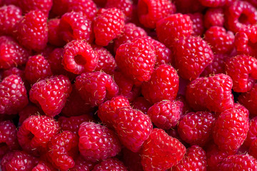 Background of red raspberry . Raspberry berries for eating and cooking jam_