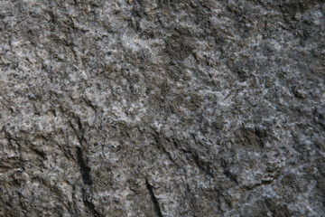 A closeup of a granite wall with white and gray colours