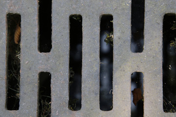 A closeup of a metal ground grate