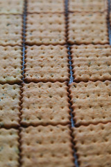 Crackers - salty background with basil and tomato. Cooking and Food