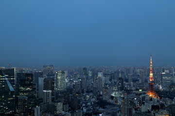 Fototapeta na wymiar 夕暮れの東京