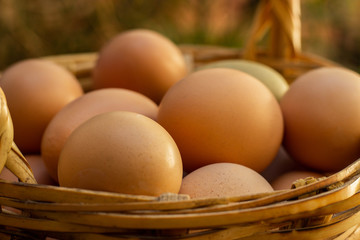 huevos frescos