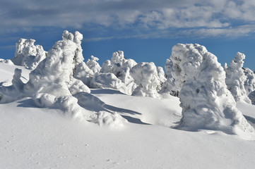 Eiswald auf dem Brocken