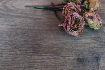 Dry roses on the wood grain floor, red background