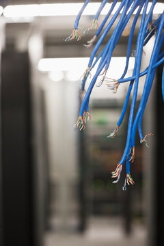 Exposed Ends of Blue Wire Bundles