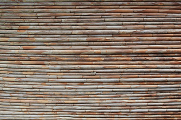 Dry brown bamboo background