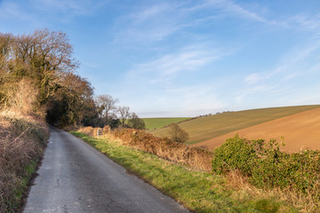 Fototapeta na wymiar A road in the English countryside, on a sunny winters day