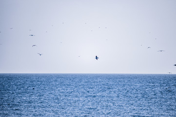 by the sea