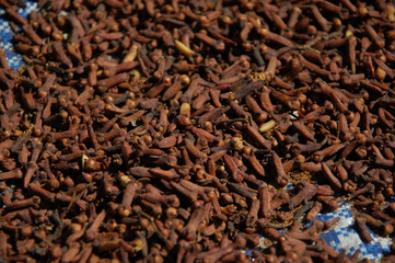 Cloves drying in the sun in Bali.